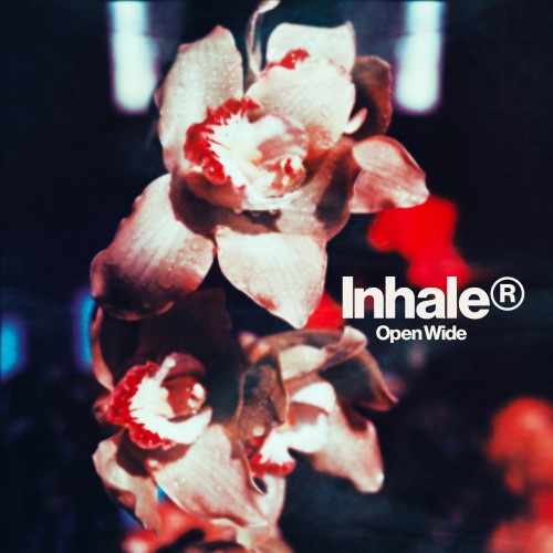 inhaler open wide review