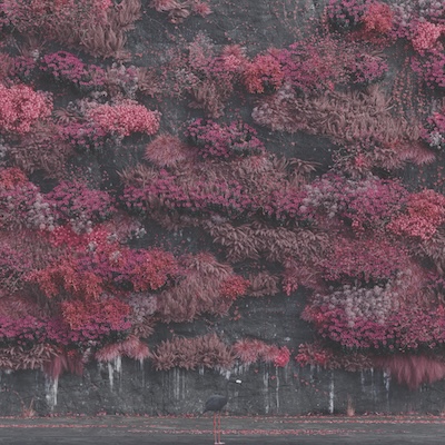 Sleep Token Even In Arcadia artwork