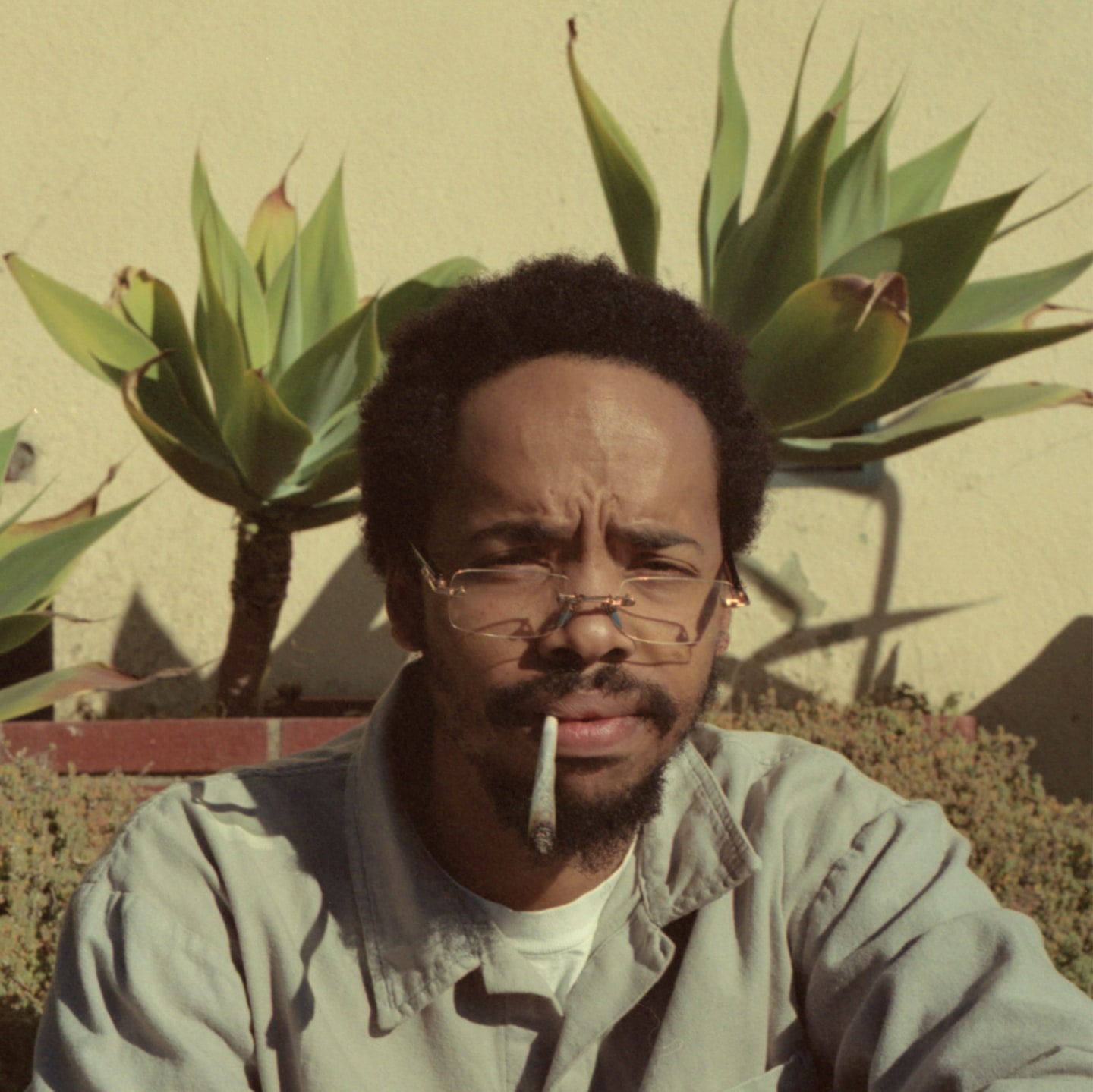 5 New Albums You Need: Nourished by Time, Earl Sweatshirt, Wolf Alice, and more