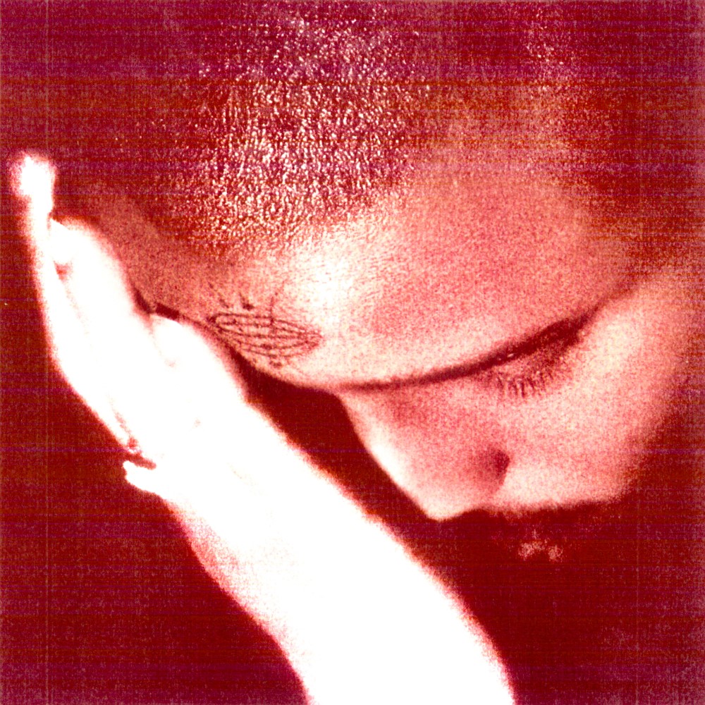 nourished by time the passionate ones review